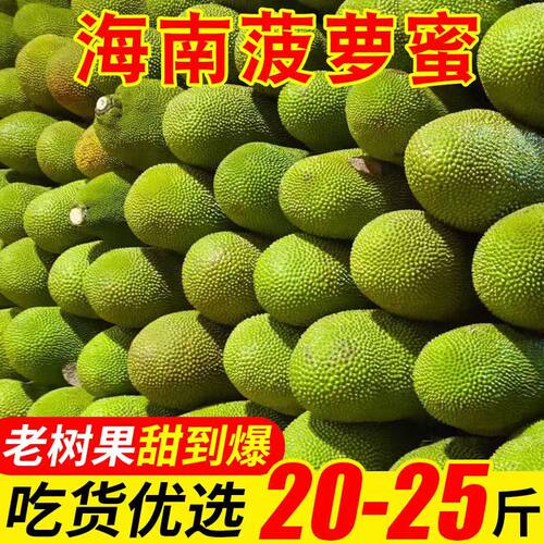 海南三亚黄肉菠萝蜜新鲜水果生鲜一整个特产干葆木波罗包邮当季