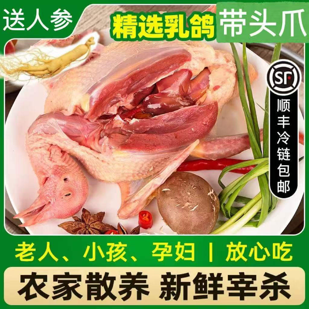 顺丰包邮鲜杀乳鸽8两/只