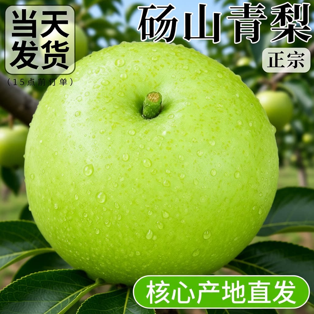 正宗砀山青梨皇冠梨时令解渴应季新鲜水果现摘脆甜梨子农场直发图片