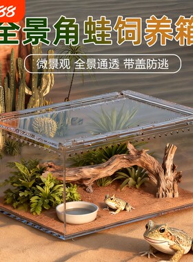 爬宠饲养缸透气透明乌龟寄居蟹爬宠箱客厅生态造景带盖角蛙庭院