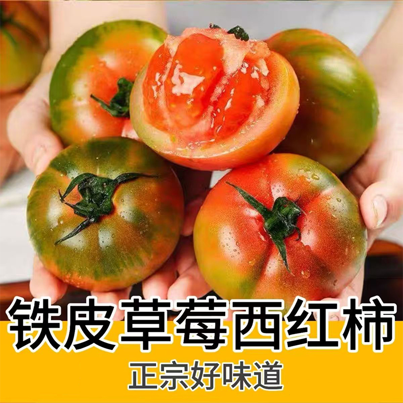 发顺丰铁皮柿子草莓西红柿自然熟铁皮绿腚柿子新鲜鹰爪番茄水果