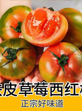 铁皮柿子碱地草莓西红柿自然熟铁皮西红柿子新鲜鹰爪番茄生吃水果