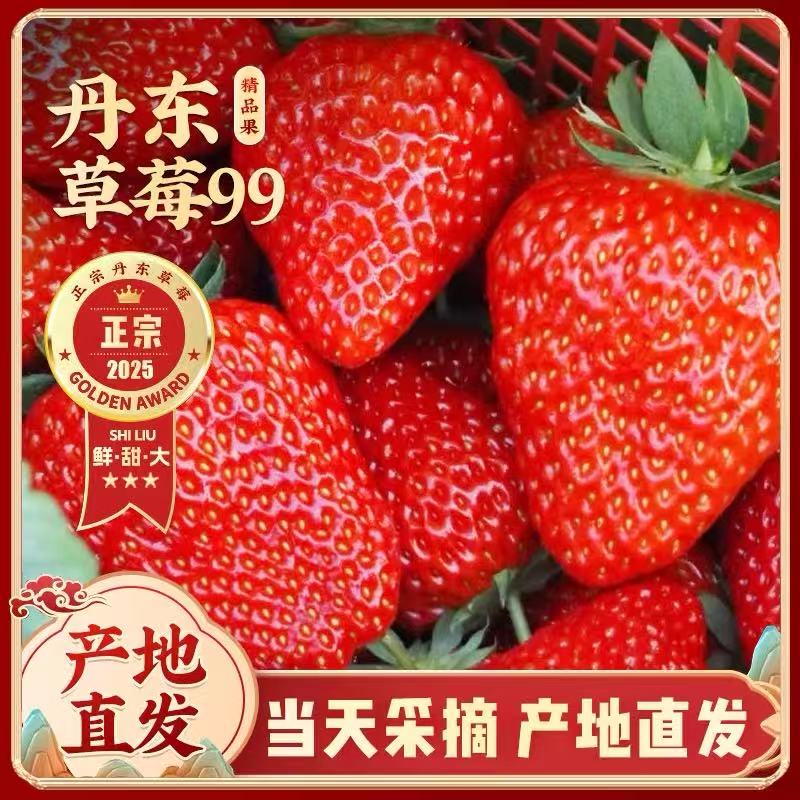 正宗丹东99草莓新鲜东港红颜九九奶油大草莓孕妇水果大果包邮礼盒