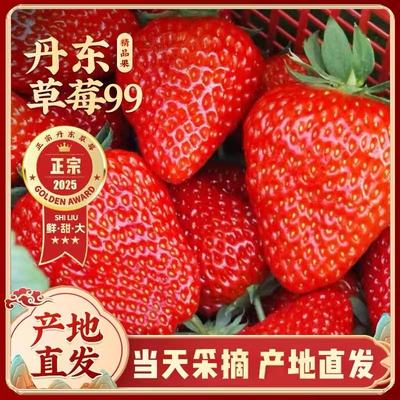 正宗丹东99草莓新鲜东港红颜九九奶油大草莓孕妇水果大果包邮礼盒