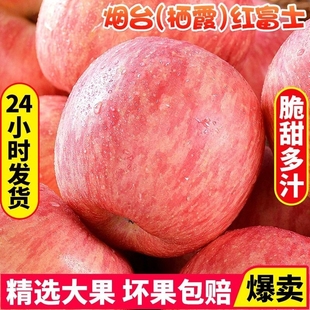自提 包邮 整箱正宗山东栖霞新鲜苹果 烟台红富士苹果水果10斤当季