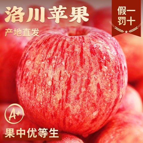 正宗洛川苹果产地授权假一罚十