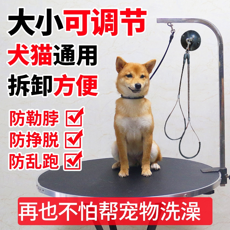 猫咪防跑绳狗狗猫猫洗澡固定器宠物美容桌吊绳子吸盘挂绳钢丝浴室