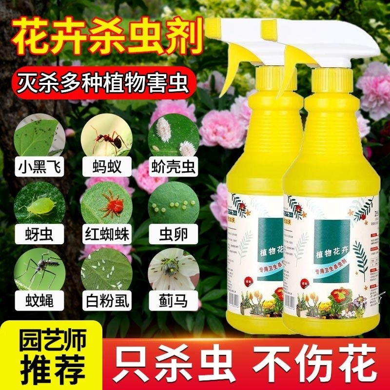 杀虫剂花卉植物绿植除虫剂家用蚧壳虫红蜘蛛杀虫药蚜虫养花土壤