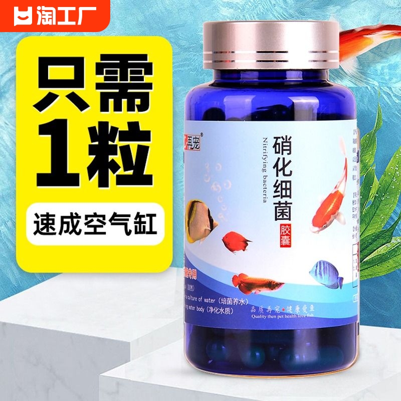 硝化细菌鱼缸净水剂养鱼用品水族鱼清澈剂水质观赏鱼硝化菌片分解 宠物/宠物食品及用品 硝化细菌 原图主图