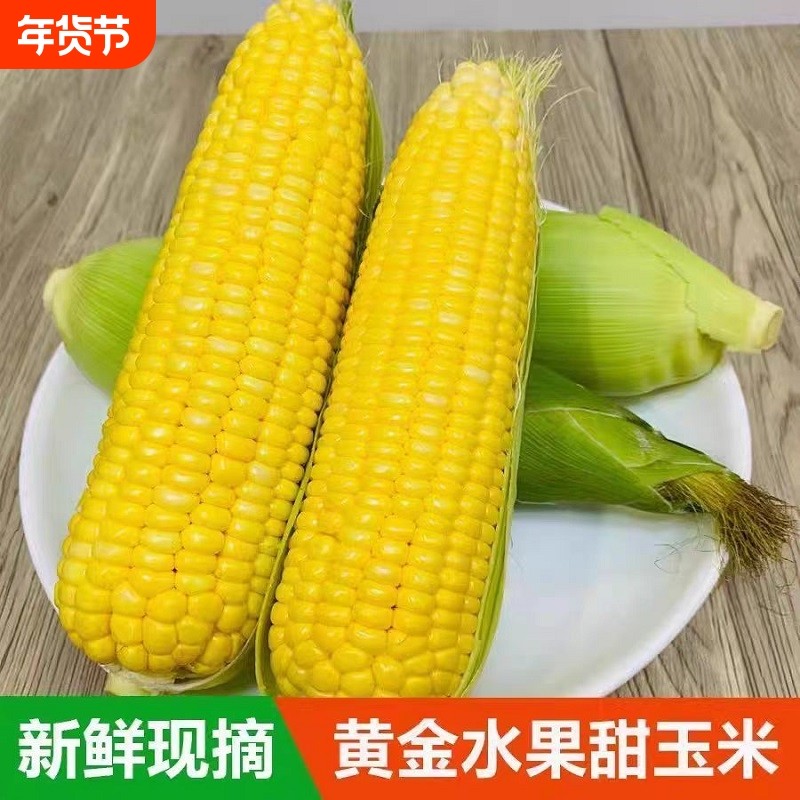 新鲜现摘现黄金水果玉米农家自种带壳保鲜膜保鲜鲜嫩脆甜可口爆汁,水产肉类/新鲜蔬果/熟食,新鲜玉米,淘宝优惠券,粉丝福利购,淘宝优惠卷