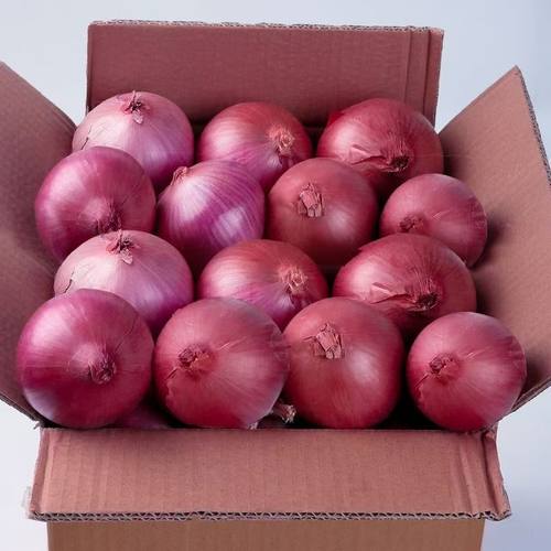 山东紫皮洋葱5斤生吃凉拌专用