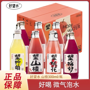 好望水饮料望山楂杨梅柠檬果汁气泡水汽水碳酸饮料300ml