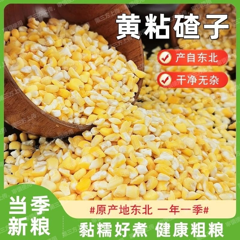 【健康粗粮】东北粘大碴子黄粘玉米碴子新米正宗玉米去皮糯玉米糁