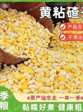 【健康粗粮】东北粘大碴子黄粘玉米碴子新米正宗玉米去皮糯玉米糁