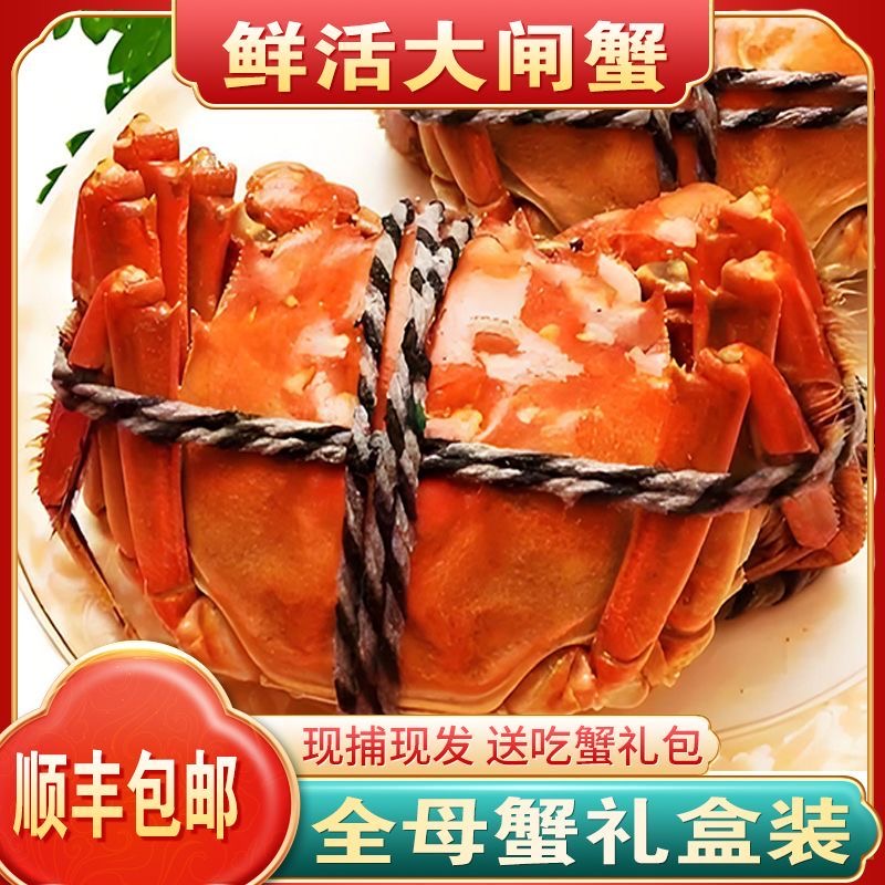 现货军山湖精品大闸蟹鲜活母蟹3.0两全母蟹礼盒顺丰冷链多规格