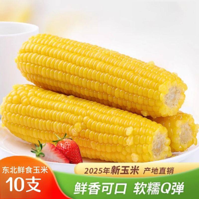 10支装大棒黄糯玉米真空包装锁鲜非转基因正宗东北甜糯玉米早餐