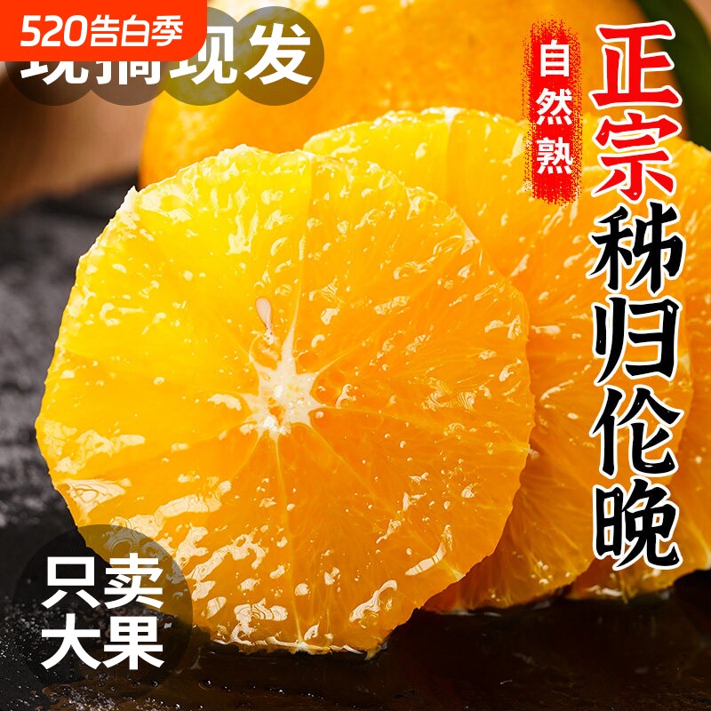 正宗秭归伦晚脐橙湖北宜昌春橙当季新鲜水果现摘现发手剥橙子甜橙