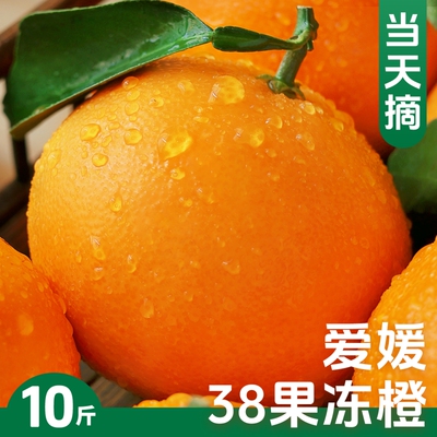 热卖推荐！自然熟，爱媛38果冻橙