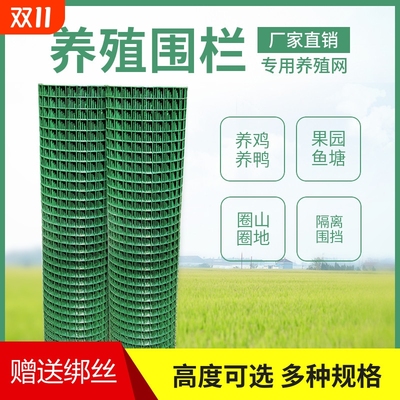 栏杆户外绿网铁网格网拦鸡网