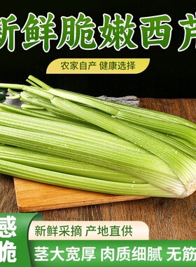去叶大颗西芹新鲜农家自种榨汁绿色优质脆嫩青菜芹菜时令蔬菜批发