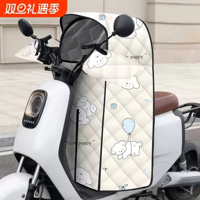 电动车儿童座椅挡风被四季分体冬季保暖电瓶车防水防风春秋亲子款