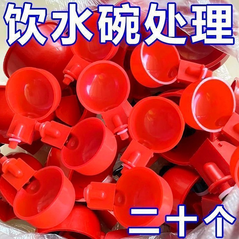 大号家禽饮水器养殖水桶新款喂鸡自动饮水器鸡鸭鸽子自动饮水碗