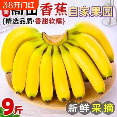 云南香蕉高山大香蕉现摘新鲜水果甜生青香蕉自然熟5斤9斤