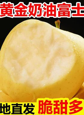 脆甜多汁山东烟台奶油富士苹果家庭装水果新鲜黄色奶油烟台直发