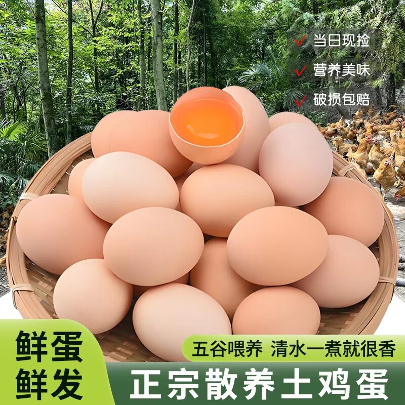 正宗农家散养新鲜土鸡蛋轻食首选虫草蛋谷物蛋柴鸡蛋单枚45-55g