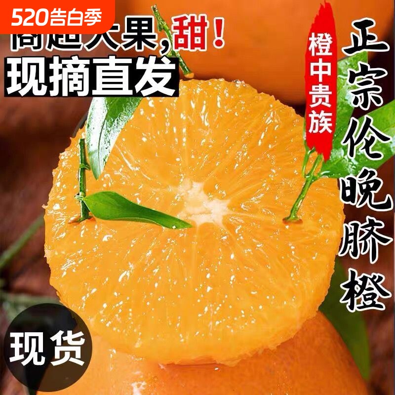 秭归伦晚脐橙纯甜爆汁当季现摘包邮湖北新鲜水果榨汁整箱手剥橙子