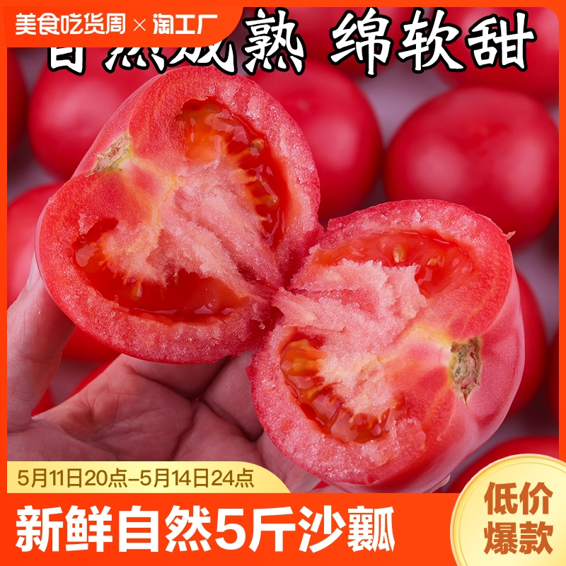 西红柿新鲜自然熟5斤沙瓤