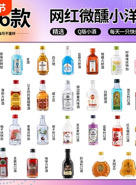 小酒版迷你版小酒版小洋酒新手入门小酒瓶便利店小瓶酒微醺50ml
