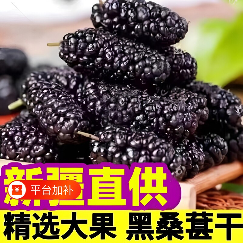 新疆吐鲁番野生黑桑葚干500g新货桑甚干桑椹子非桑葚果桑椹干大果