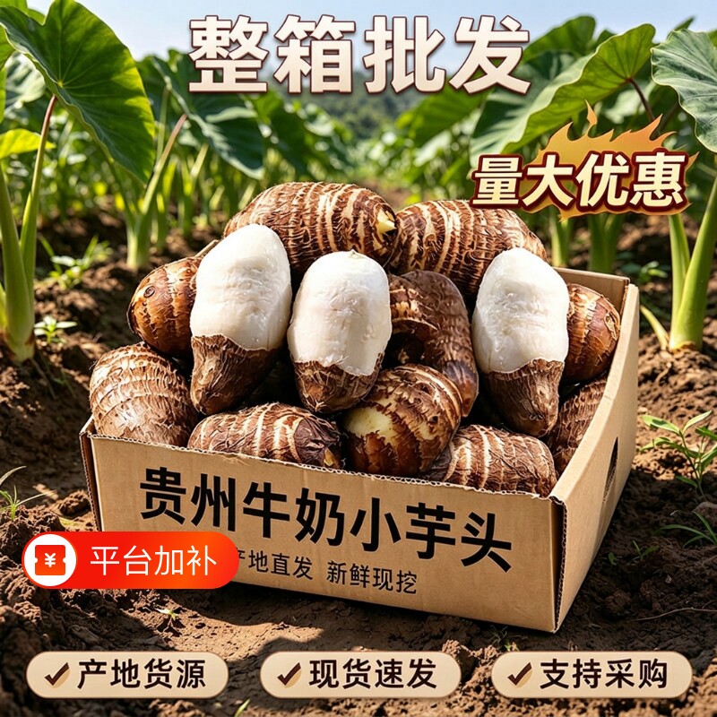 贵州牛奶小芋头新鲜蔬菜粉糯红毛芋头槟榔芋当季芋艿香芋农家软糯