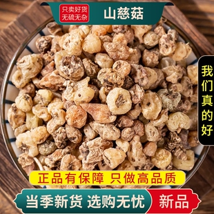 甄选山慈菇正品新货干货冰球子山慈姑茅毛慈菇山茨菇煮水泡茶