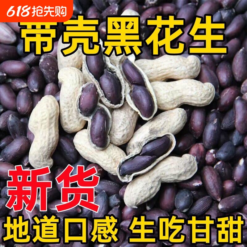 黑花生新货农家自种带壳花生黑紫皮花生米原味零食新鲜大粒年货