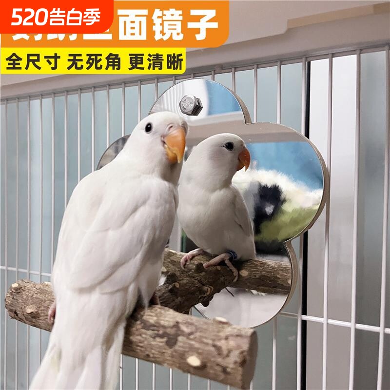 鹦鹉镜子花椒木站架玩具玄凤虎皮牡丹鸟笼站杆站杠小太阳镜子站台