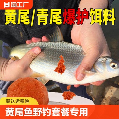 黄尾鱼饵料青尾鲴鱼食红尾鲴小药
