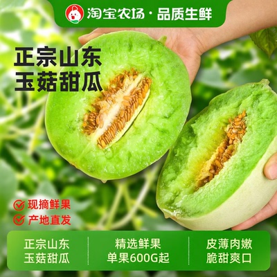 山东特产冰淇淋玉菇甜瓜孕妇新鲜水果当季香瓜蜜瓜整箱包邮现摘