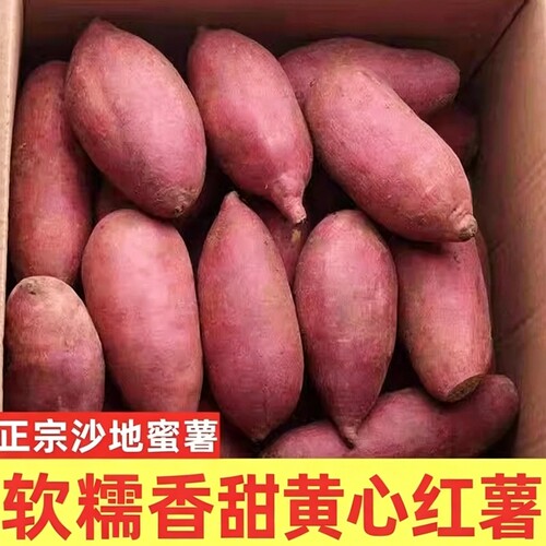 新鲜现挖黄心蜜薯软糯香甜批发价