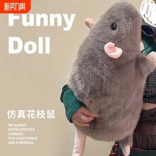 仿真花枝鼠玩偶抱枕搞怪大老鼠毛绒公仔豚鼠娃娃女生男友生日礼物
