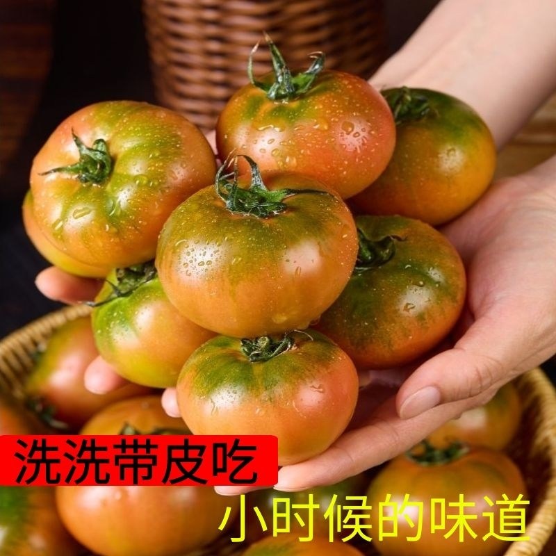 正宗丹东铁皮西红柿水果柿子碱地草莓番茄自然吃水果新鲜番茄顺丰,水产肉类/新鲜蔬果/熟食,番茄,淘宝优惠券,粉丝福利购,淘宝优惠卷