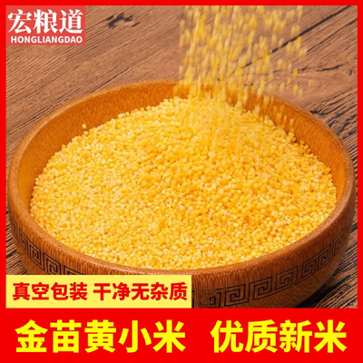 赤峰金苗小米农家新货黄小米五谷杂粮敖汉旗月子米孕妇宝宝粗粮油