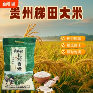 贵州农家高山梯田原生态长粒香晚稻米不抛光10斤装 现磨米饭 包邮