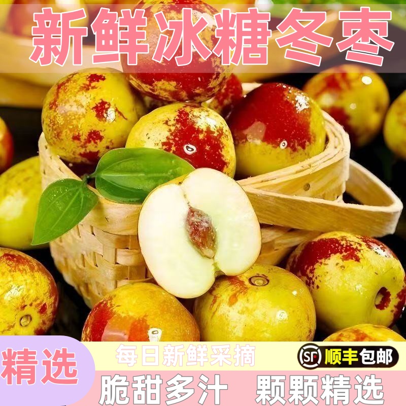 顺丰包邮正宗冬枣新鲜大果应季整箱枣子现摘脆枣冰糖大枣当季水果
