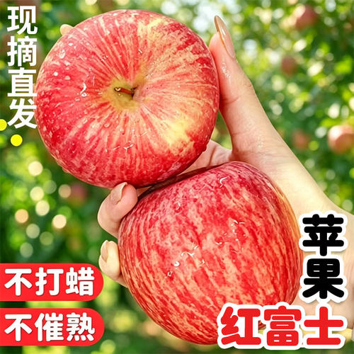 产地烟台栖霞红富士苹果新鲜水果冰糖心条纹整箱5斤包邮现摘脆甜