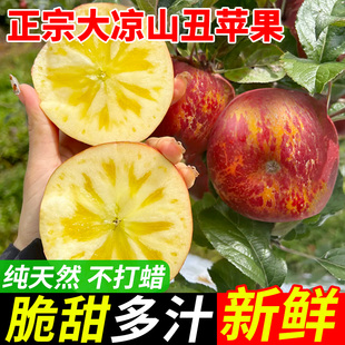 2026新鲜云南昭通丑苹果冰糖心苹果水果当季整箱脆甜包邮