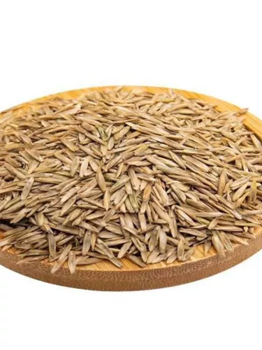 Семена травы долины четыре сезона Changqingguo собака Гранитная трава