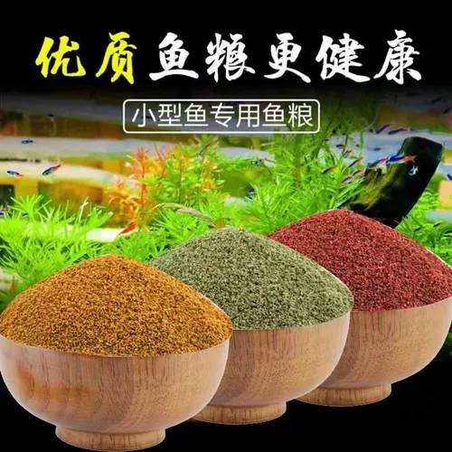 Мелкая рыба-частица кормит тропических рыб.