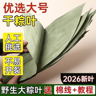 特大号野生干粽叶粽子叶新鲜包粽子箬叶必备粽叶干大号家用干现摘